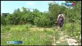 Для многих садоводов дача уже давно не просто шесть соток для летнего отдыха, а настоящий второй дом