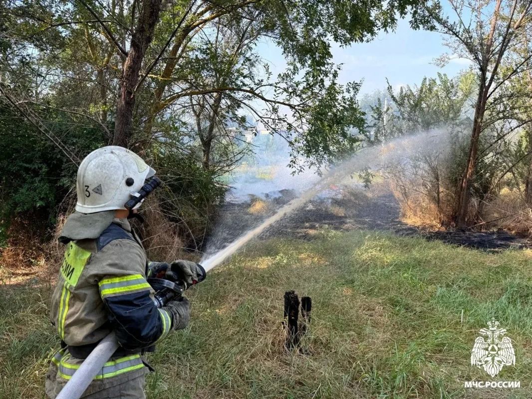 В Городовиковске потушили возгорание сухой растительности В Городовиковске потушили возгорание сухой растительности