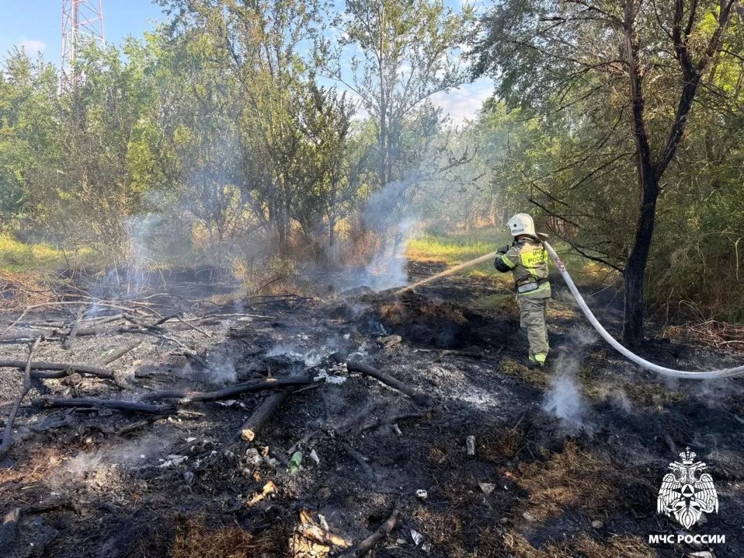 В Городовиковске потушили возгорание сухой растительности В Городовиковске потушили возгорание сухой растительности