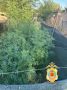 3 �� �������, 26 �������������� ������, ������ � ������� ���� ���������� � ������ ������������ � ������ ��������� ������