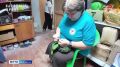 �������� �� ������ ������������ �� ������ ������ ���