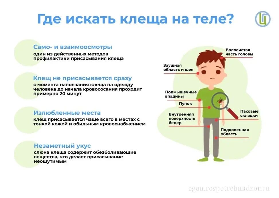 С начала года в нашей республике от укусов клещей пострадали 344 человека, из них 108 — дети до 14 лет С начала года в нашей республике от укусов клещей пострадали 344 человека, из них 108 — дети до 14 лет