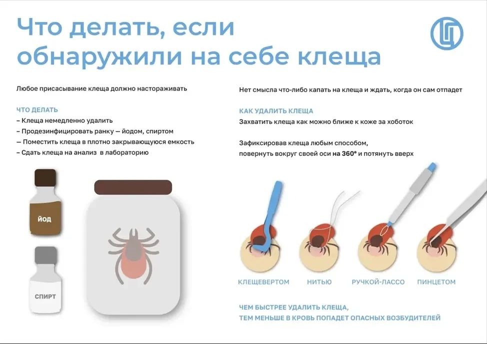 С начала года в нашей республике от укусов клещей пострадали 344 человека, из них 108 — дети до 14 лет С начала года в нашей республике от укусов клещей пострадали 344 человека, из них 108 — дети до 14 лет