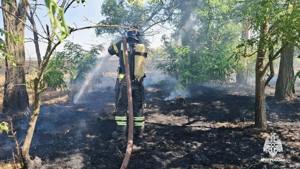 Сотрудники МЧС России ликвидировали возгорание сухой растительности в Городовиковском районе Сотрудники МЧС России ликвидировали возгорание сухой растительности в Городовиковском районе