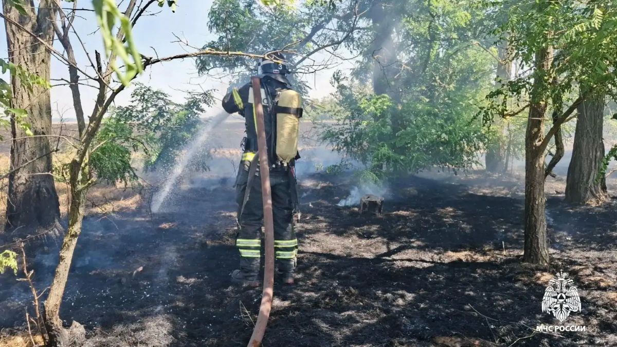 В Городовиковском районе ликвидировали возгорание травы у трансформаторной подстанции В Городовиковском районе ликвидировали возгорание травы у трансформаторной подстанции