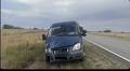 На дорогах Калмыкии вновь зафиксированы случаи ДТП с участием сельскохозяйственных животных