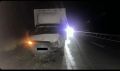 В Калмыкии за сутки произошло два ДТП с участием сельскохозяйственного скота