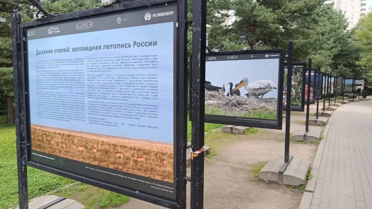 Заповедник «Черные земли» участвует в фотовыставке в Москве Заповедник «Черные земли» участвует в фотовыставке в Москве