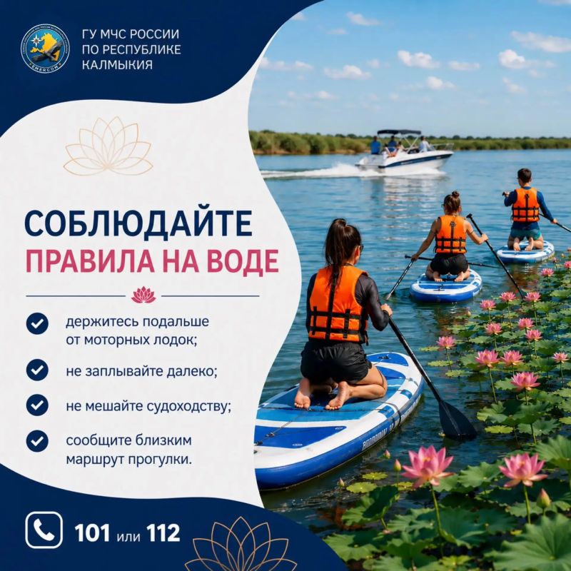 Пусть знакомство с лотосами будет не только красивым, но и безопасным Пусть знакомство с лотосами будет не только красивым, но и безопасным