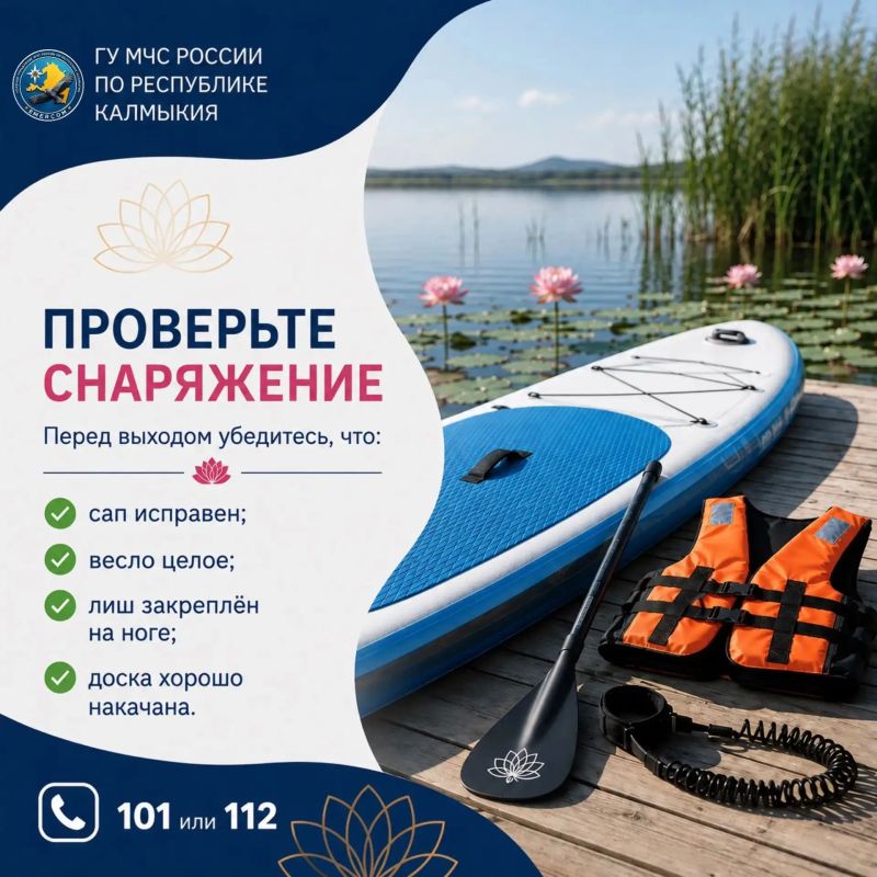 Пусть знакомство с лотосами будет не только красивым, но и безопасным Пусть знакомство с лотосами будет не только красивым, но и безопасным