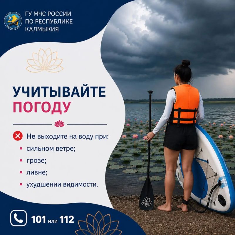 Пусть знакомство с лотосами будет не только красивым, но и безопасным Пусть знакомство с лотосами будет не только красивым, но и безопасным