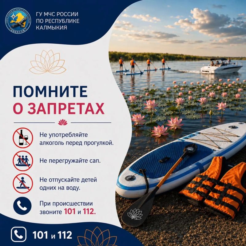 Пусть знакомство с лотосами будет не только красивым, но и безопасным Пусть знакомство с лотосами будет не только красивым, но и безопасным