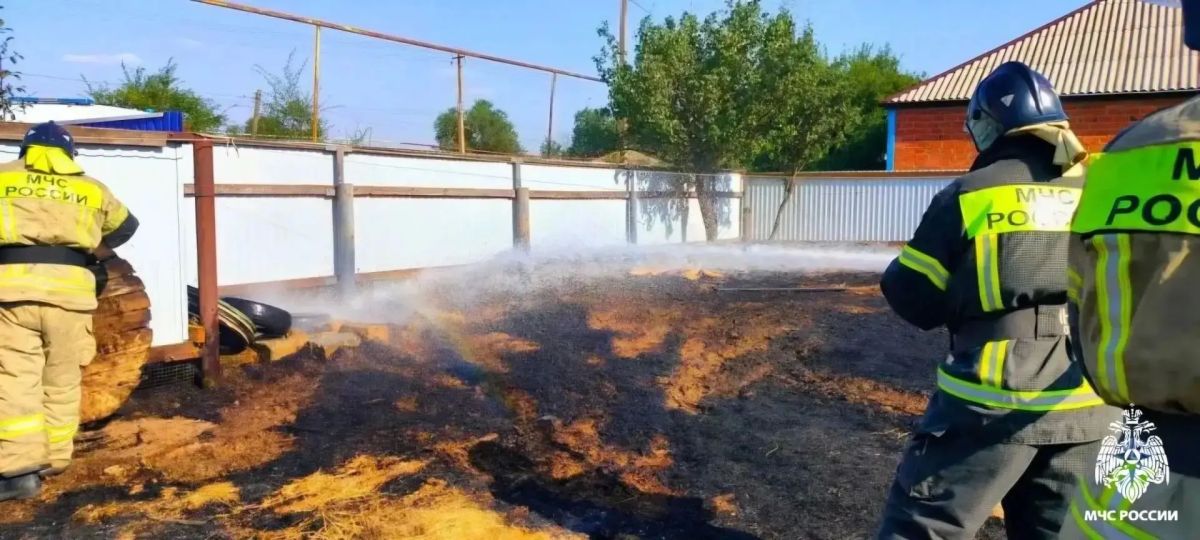 В Приютном потушили возгорание сухой растительности В Приютном потушили возгорание сухой растительности