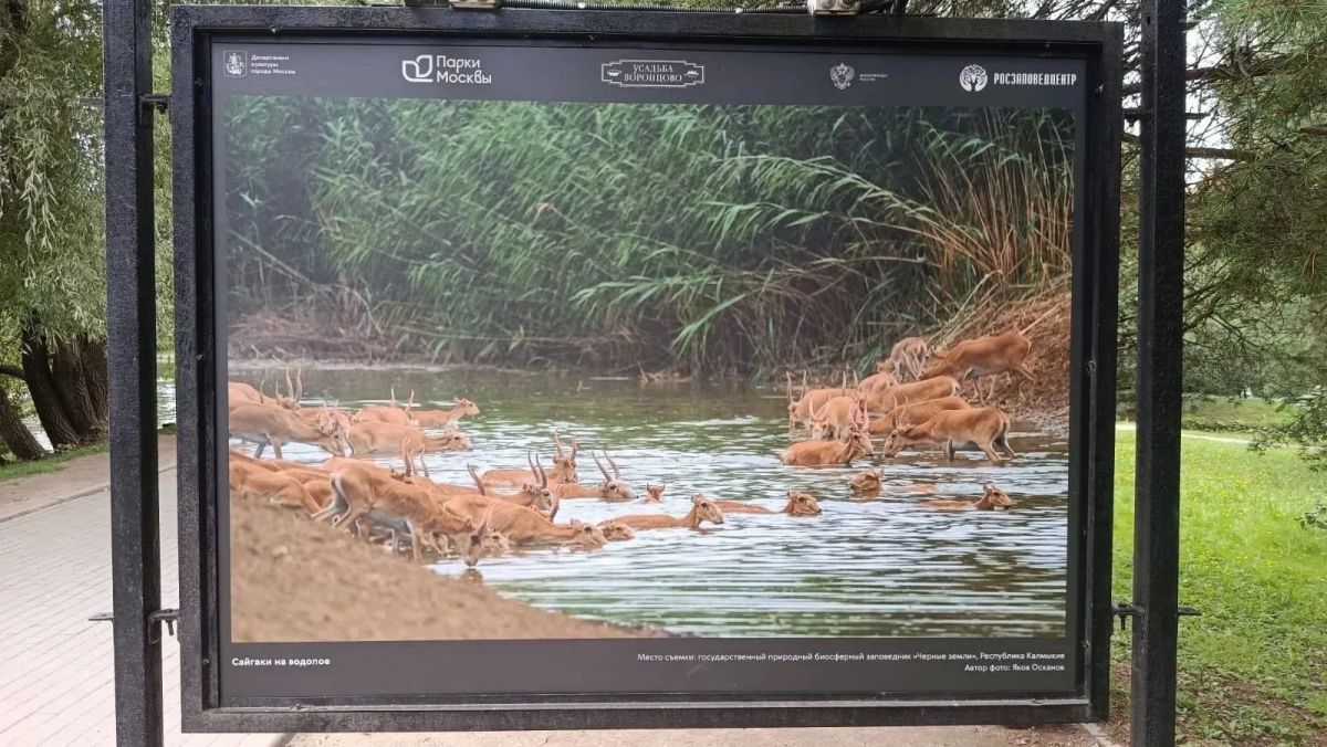 Заповедник «Черные земли» на фотовыставке в Москве Заповедник «Черные земли» на фотовыставке в Москве