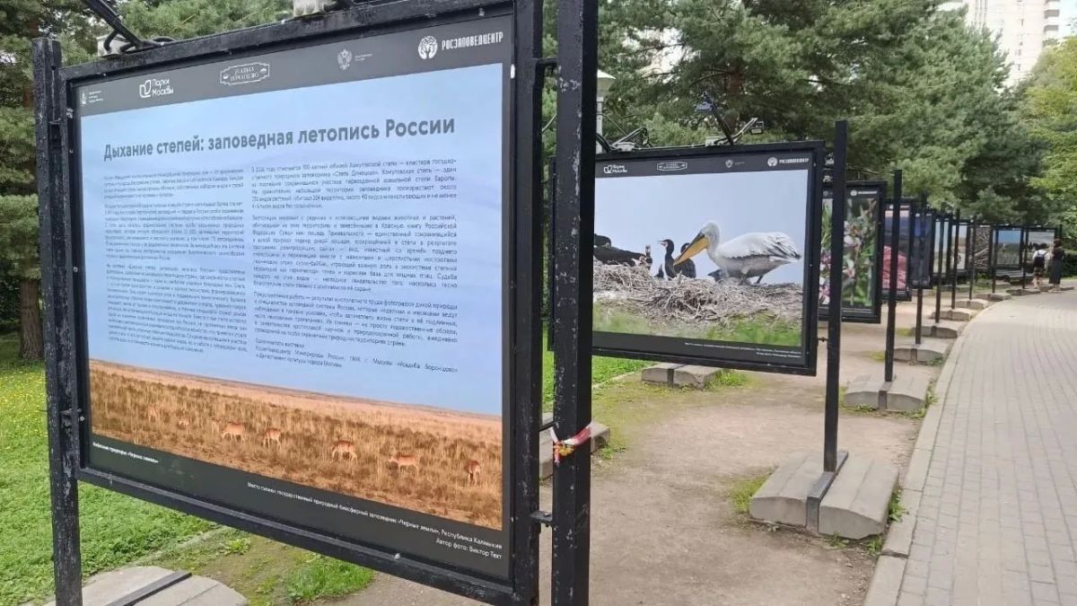 Заповедник «Черные земли» на фотовыставке в Москве Заповедник «Черные земли» на фотовыставке в Москве