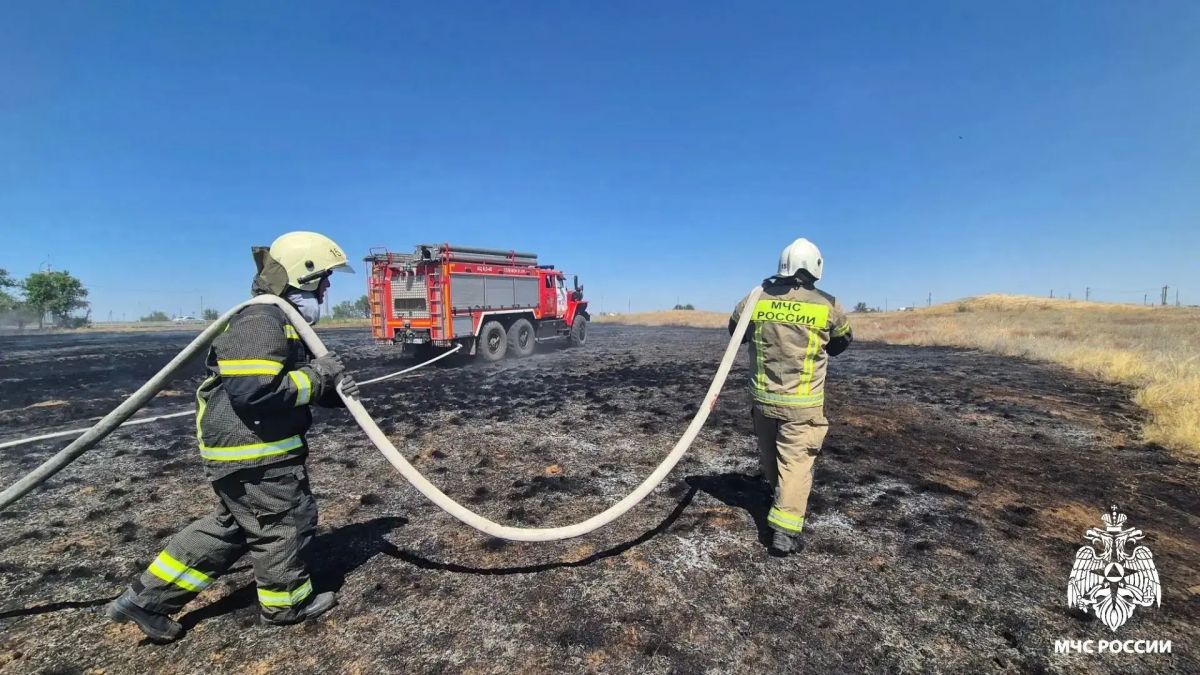 В Элисте потушили степной пожар в районе храма Сякюсн-Сюме В Элисте потушили степной пожар в районе храма Сякюсн-Сюме