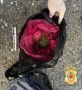 ������ ���������� ������ �������� � ����������� �� ������������ ������