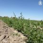 ����� ������ � �������������� � ��������: �� 7 ��� ������� �������� ������ ����������� �� ��������