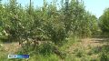 Зрители нашего телеканала могут сами предложить темы для сюжетов