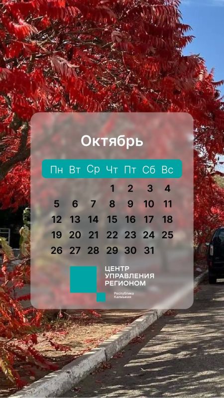 Встречаем осень с новыми заставками Встречаем осень с новыми заставками