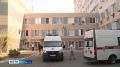 Собака бывает кусачей не только от жизни бродячей