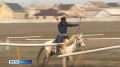 Сегодня отмечается Международный день стрельбы из лука