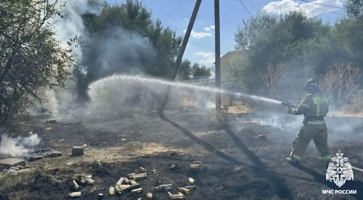 В Троицком ликвидировали возгорание сухой травы В Троицком ликвидировали возгорание сухой травы