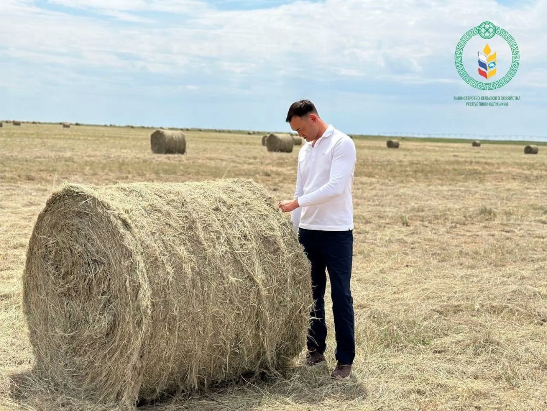 В республике активно продолжается кампания по заготовке кормов на зимне-стойловый период