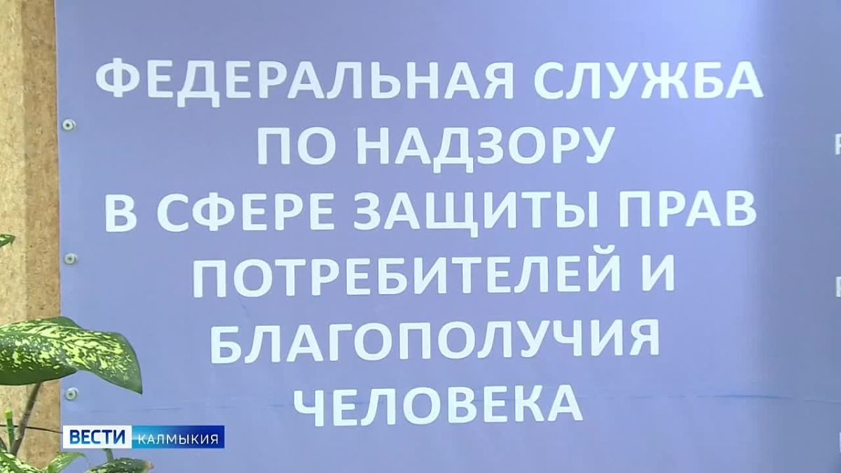 На дворе середина сентября — сезон овощей и фруктов в самом разгаре