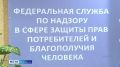 На дворе середина сентября — сезон овощей и фруктов в самом разгаре