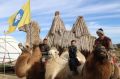 Семья Очиргоряевых приехала на избирательный участок в Калмыкии верхом на верблюдах, сообщили ТАСС в пресс-службе главы республики