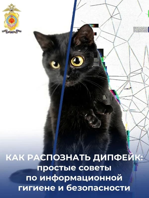 «Дипфейк» — это поддельное видео, изображение или аудио, в котором с помощью специальных программ или искусственного интеллекта меняют лицо, голос или мимику человека