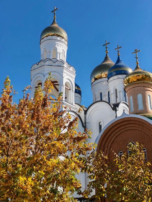Золотая пора в объективе нашей команды! Золотая пора в объективе нашей команды!