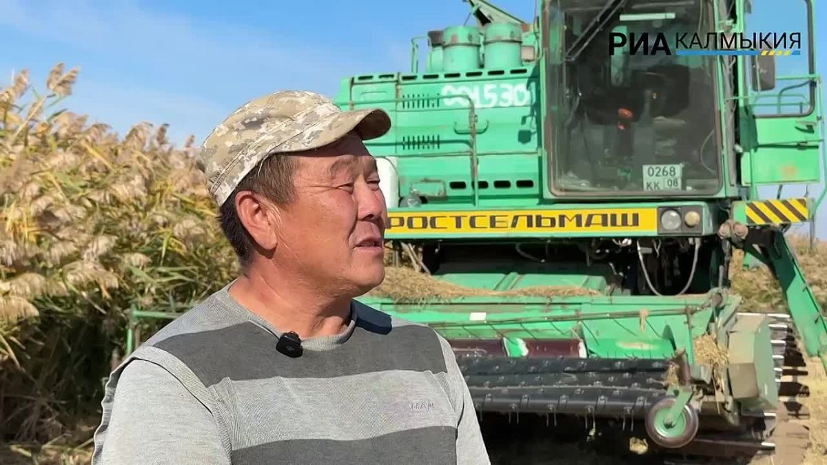 Больше 30 лет за штурвалом комбайна: человек, который помогает собирать урожай Калмыкии