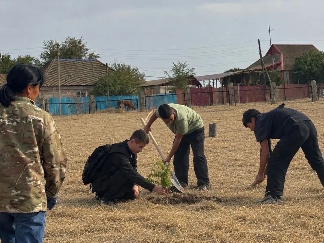 В рамках акции «Сад памяти» на территории Троицкой школы высажены молодые деревья В рамках акции «Сад памяти» на территории Троицкой школы высажены молодые деревья