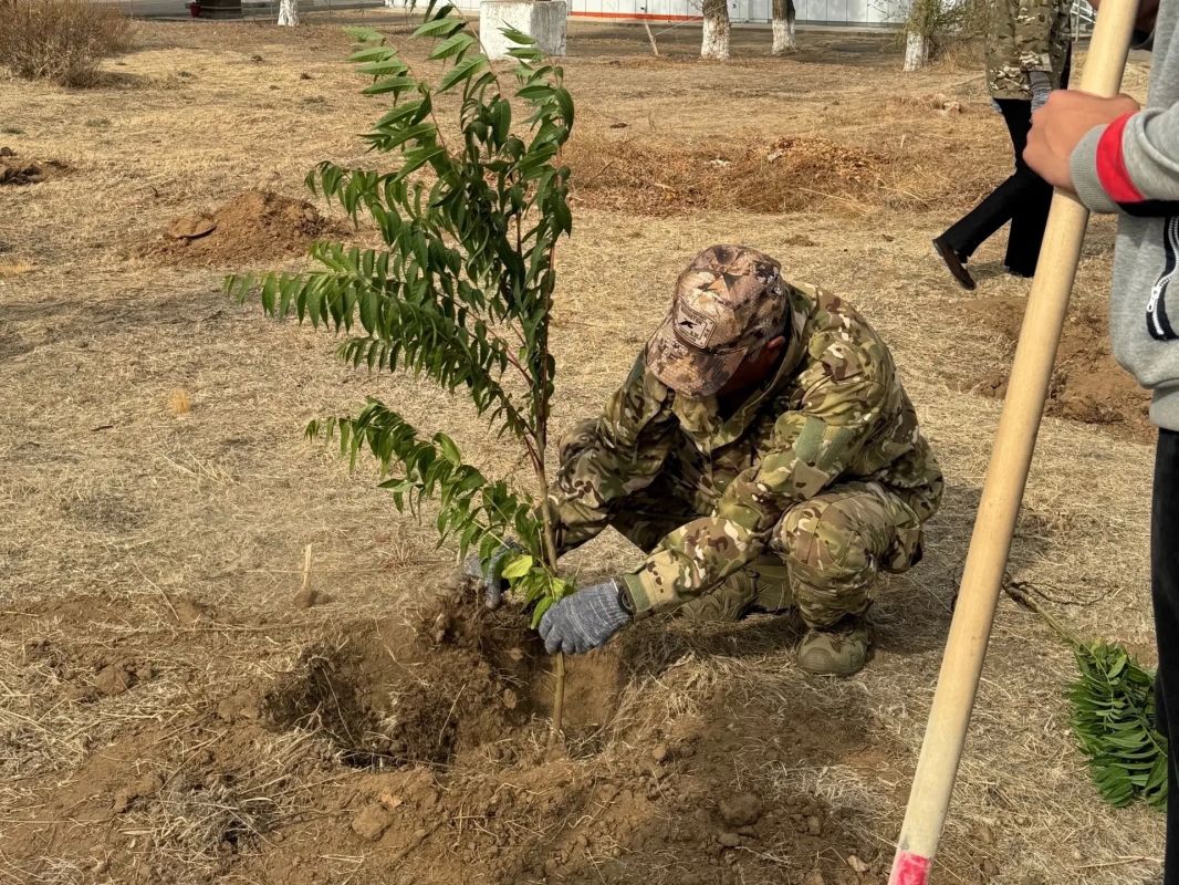 В рамках акции «Сад памяти» на территории Троицкой школы высажены молодые деревья В рамках акции «Сад памяти» на территории Троицкой школы высажены молодые деревья