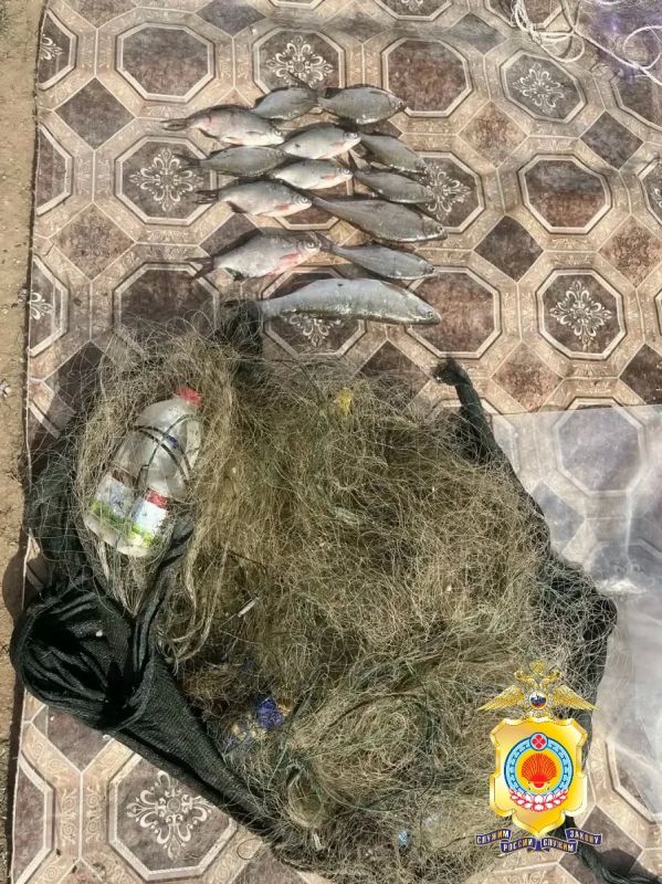 Полицейскими Калмыкии выявлены факты незаконного оборота наркотических средств и водных биологических ресурсов Полицейскими Калмыкии выявлены факты незаконного оборота наркотических средств и водных биологических ресурсов
