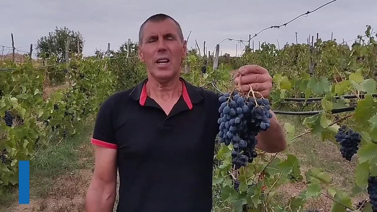 Регулярная оплата вывоза мусора – это не просто строчка в квитанции, а прямой вклад в экологию республики