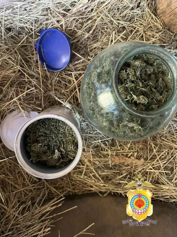 В Яшкульском районе у местного жителя изъяли более 480 граммов марихуаны В Яшкульском районе у местного жителя изъяли более 480 граммов марихуаны