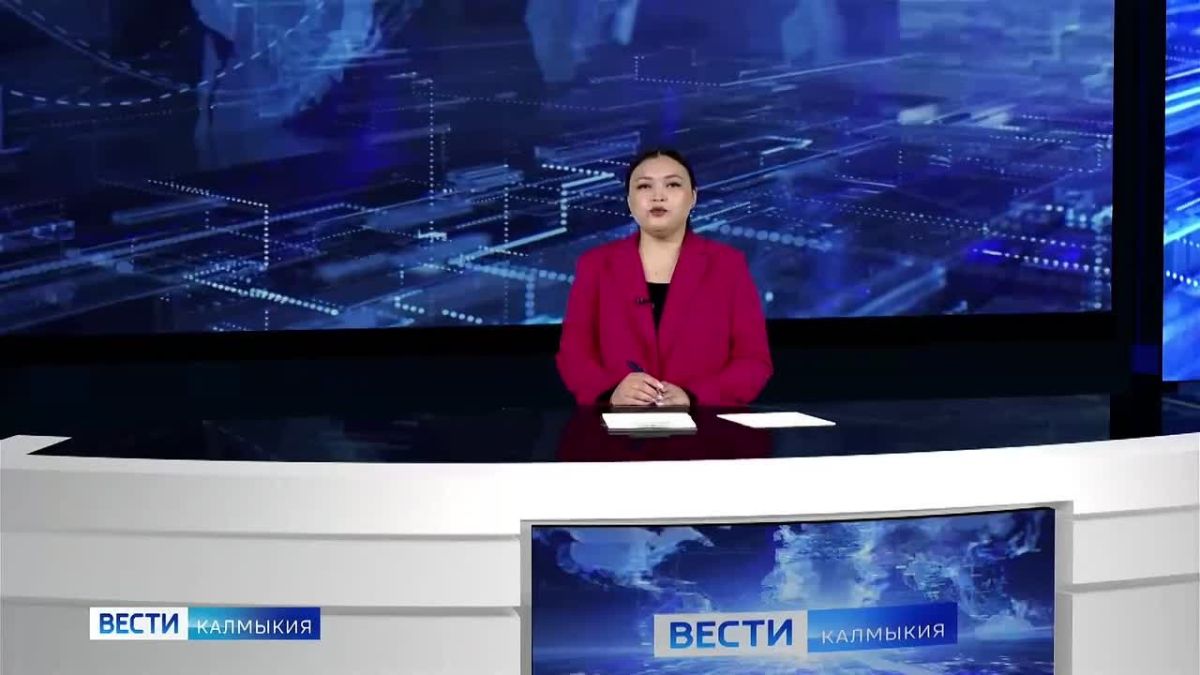 Сегодня — День белых журавлей