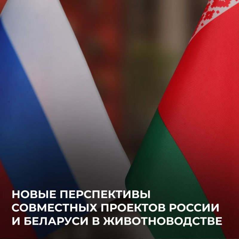 Россия и Беларусь укрепляют сотрудничество в животноводстве