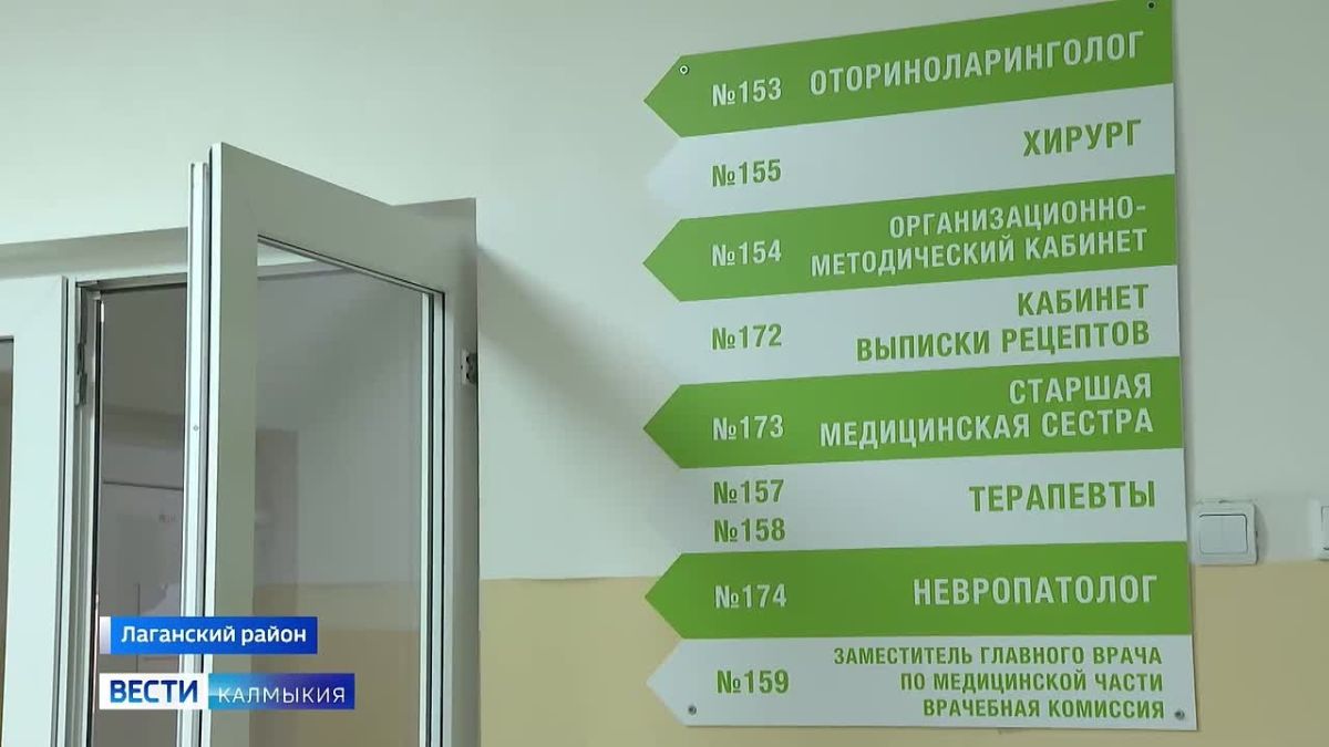 Молодые кадры пополнили Лаганскую районную больницу благодаря федеральной программе «Земский доктор»