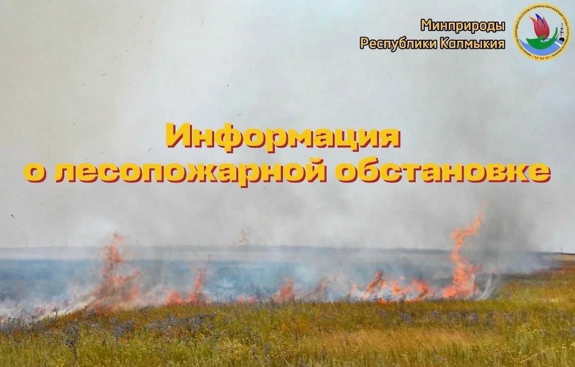 О лесопожарной обстановке на территории лесного фонда Республики Калмыкия по состоянию на 28 октября 2026 года